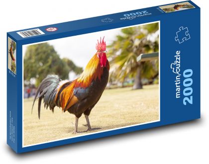 Kogut - zwierzęcy, drobiowy - Puzzle 2000 elementów, rozmiar 90x60 cm