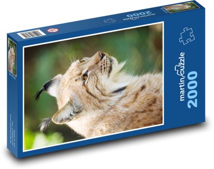 Luchs - Wildkatze, Säugetier - Puzzle - 2000 Teile