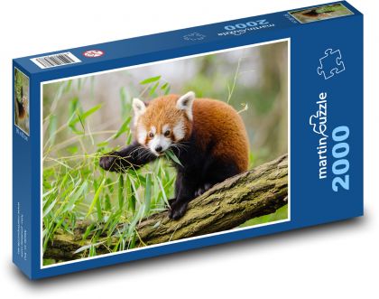 Panda červená - větev, zvíře - puzzle 2000 dílků