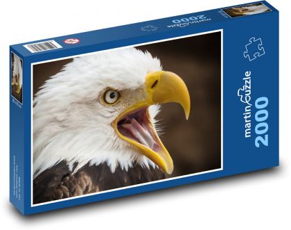 Sea eagle - predator, bird - Puzzle 2000 pieces, size 90x60 cm 