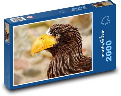 Mořský pták - dravec, orel - Puzzle 2000 dílků, rozměr 90x60 cm