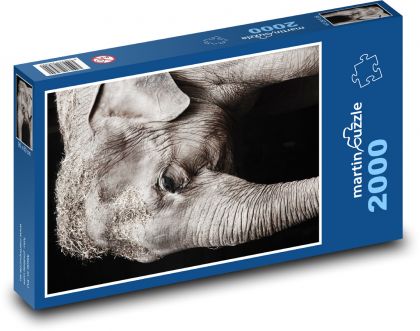 Elephant - safari, animal - Puzzle 2000 pieces, size 90x60 cm 