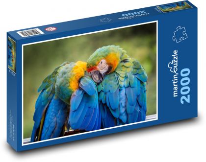 Papoušek - pták, zvíře - puzzle 2000 dílků