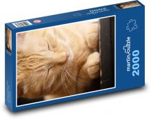 Kočka - mazlíček, ospalý Puzzle 2000 dílků - 90 x 60 cm