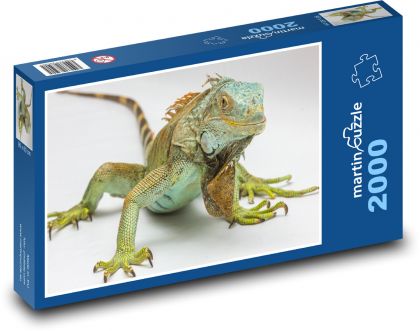 Leguán - plaz, zvíře - puzzle 2000 dílků