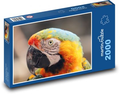 Papuga - ptak, zwierzę - Puzzle 2000 elementów, rozmiar 90x60 cm
