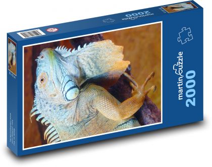 Iguana - animal, reptile - Puzzle 2000 pieces, size 90x60 cm 