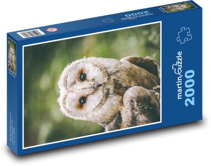 Owl - bird, animal - Puzzle 2000 pieces, size 90x60 cm 