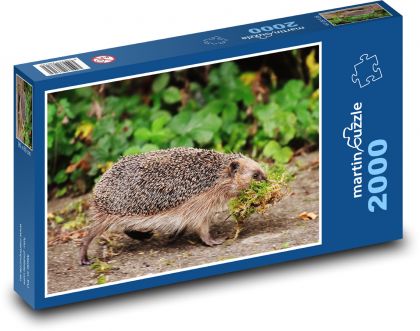 Hedgehog - animal, forest - Puzzle 2000 pieces, size 90x60 cm 