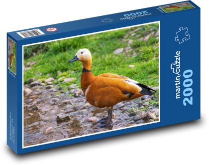 Hrdzavé husi - kačica, vták - Puzzle 2000 dielikov, rozmer 90x60 cm 