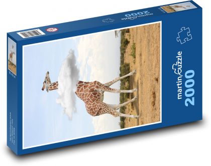 Giraffe - animal, cloud - Puzzle 2000 pieces, size 90x60 cm 