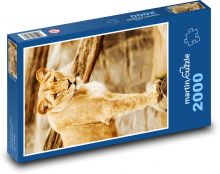 Lioness - beast, predator Puzzle 2000 pieces - 90 x 60 cm