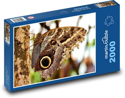 Motýľ - hmyz, krídla - Puzzle 2000 dielikov, rozmer 90x60 cm 