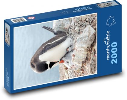 Tučňák - pták, zvíře - Puzzle 2000 dílků, rozměr 90x60 cm