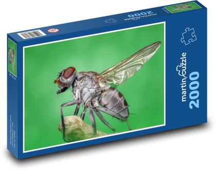Mucha - owady, skrzydła - Puzzle 2000 elementów, rozmiar 90x60 cm