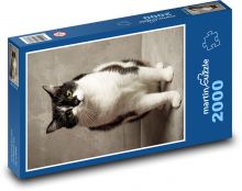 Kot - zwierzę domowe, zwierzę Puzzle 2000 elementów - 90x60 cm