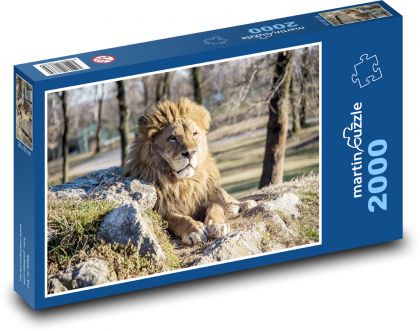 Lev - zvíře, hříva - Puzzle 2000 dílků, rozměr 90x60 cm