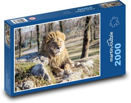 Lev - zviera, hriva - Puzzle 2000 dielikov, rozmer 90x60 cm 