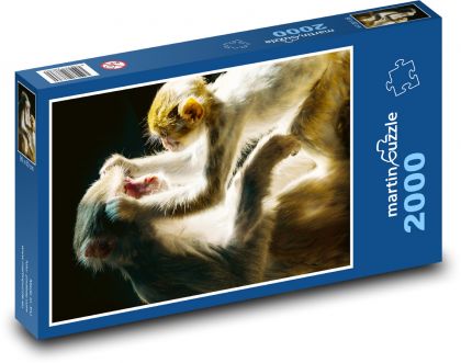 Małpa - naczelny, pisklę - Puzzle 2000 elementów, rozmiar 90x60 cm