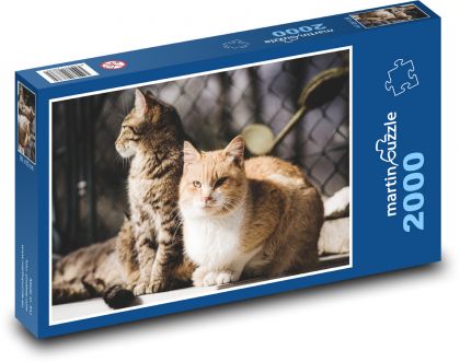 Kot - zwierzę, zwierzę domowe - Puzzle 2000 elementów, rozmiar 90x60 cm