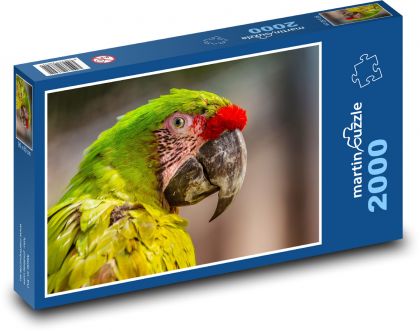 Papagáj - vták, zviera - Puzzle 2000 dielikov, rozmer 90x60 cm 