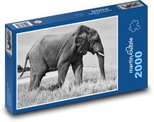 Elefant - Tier, Safari Puzzle 2000 Teile - 90 x 60 cm