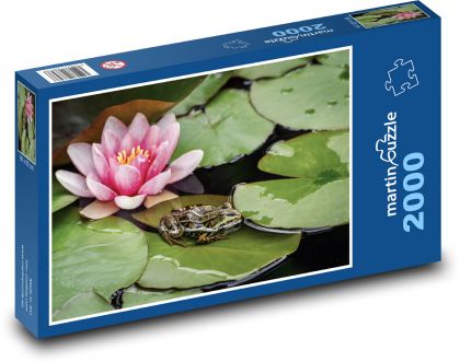 Žaba - lekno, voda - Puzzle 2000 dielikov, rozmer 90x60 cm 