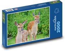 Roe deer - fawn, forest animals Puzzle 2000 pieces - 90 x 60 cm