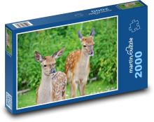 Srnec - kolouch, lesní zvěř Puzzle 2000 - 90x60 cm