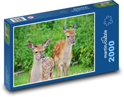 Roe deer - fawn, forest animals - Puzzle 2000 pieces, size 90x60 cm 