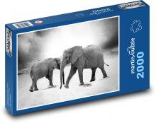 Slony - zvieratá, čiernobiele Puzzle 2000 dielikov - 90 x 60 cm