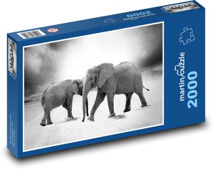 Elephants - animals, black and white - Puzzle 2000 pieces, size 90x60 cm 