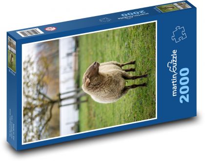 Ovce - zviera, farma - Puzzle 2000 dielikov, rozmer 90x60 cm 