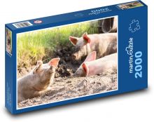 Pigs - animals, farm Puzzle 2000 pieces - 90 x 60 cm