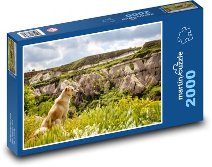 Pes - příroda, krajina - puzzle 2000 dílků