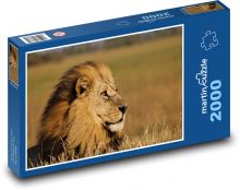 Lev - král džungle, savec Puzzle 2000 dílků - 90 x 60 cm