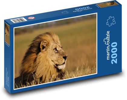 Löwe - König des Dschungels, Säugetier - Puzzle - 2000 Teile