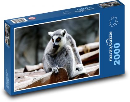 Lemur - zviera, cicavec - Puzzle 2000 dielikov, rozmer 90x60 cm 