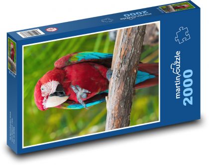 Bird - parrot, zoo - Puzzle 2000 pieces, size 90x60 cm 
