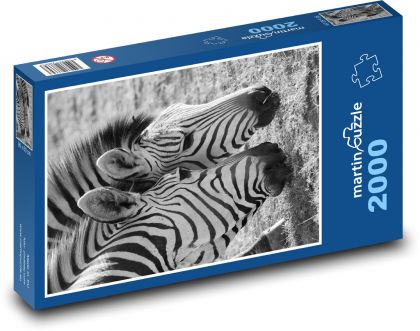 Zebry - zvířata, savci - Puzzle 2000 dílků, rozměr 90x60 cm