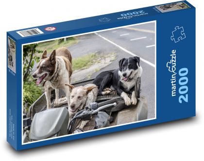 Dogs - Pets, Vehicle - Puzzle 2000 pieces, size 90x60 cm 