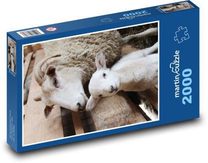 Schaf - Lamm, Tier - Puzzle - 2000 Teile
