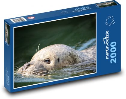 Morský lev - vodné živočíchy. zoologická záhrada - Puzzle 2000 dielikov, rozmer 90x60 cm 