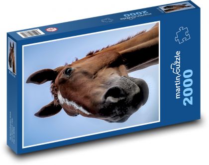 Pferd - Hengst, Mähne - Puzzle - 2000 Teile