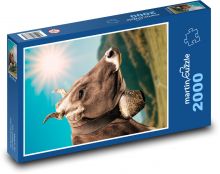 Kráva - zvonek, slunce Puzzle 2000 - 90x60 cm