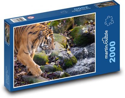 Tygr - zvíře, voda - Puzzle 2000 dílků, rozměr 90x60 cm