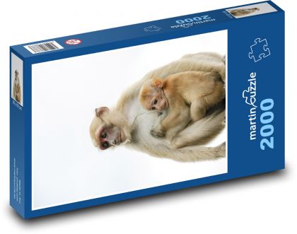 Opica - kuriatko, zviera - Puzzle 2000 dielikov, rozmer 90x60 cm 