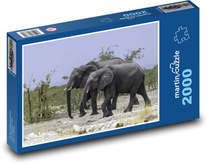 Sloni - zvířata, safari - Puzzle 2000 dílků, rozměr 90x60 cm