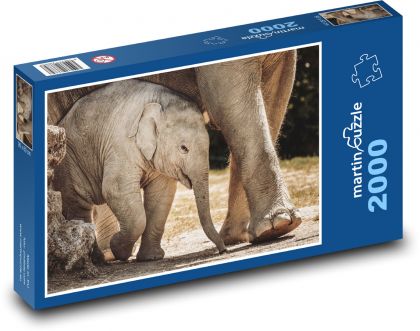 Elephant - elephant, pet - Puzzle 2000 pieces, size 90x60 cm 