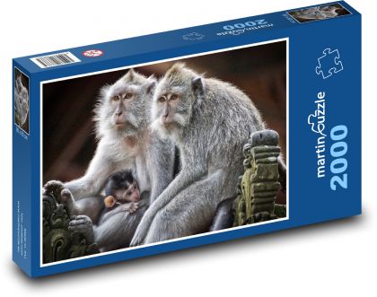 Monkey - primate, mammal - Puzzle 2000 pieces, size 90x60 cm 